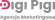 DigiPigi